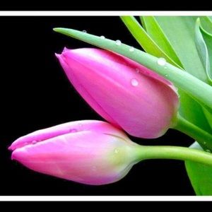 Hi! A Taste of Heaven here ♥️